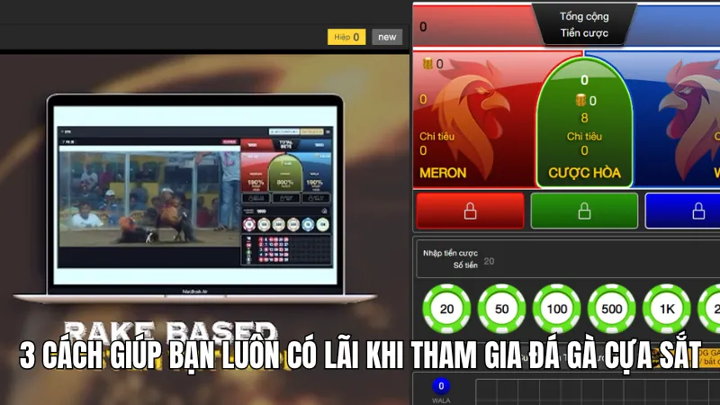 3 cách giúp bạn luôn có lãi khi tham gia đá gà cựa sắt