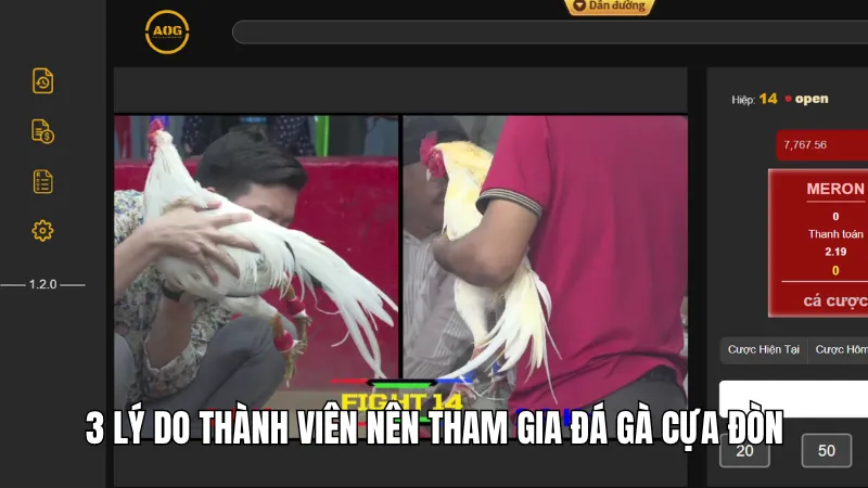 3 lý do thành viên nên tham gia đá gà cựa đòn
