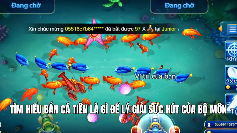 Tìm hiểu bắn cá tiên là gì để lý giải sức hút của bộ môn